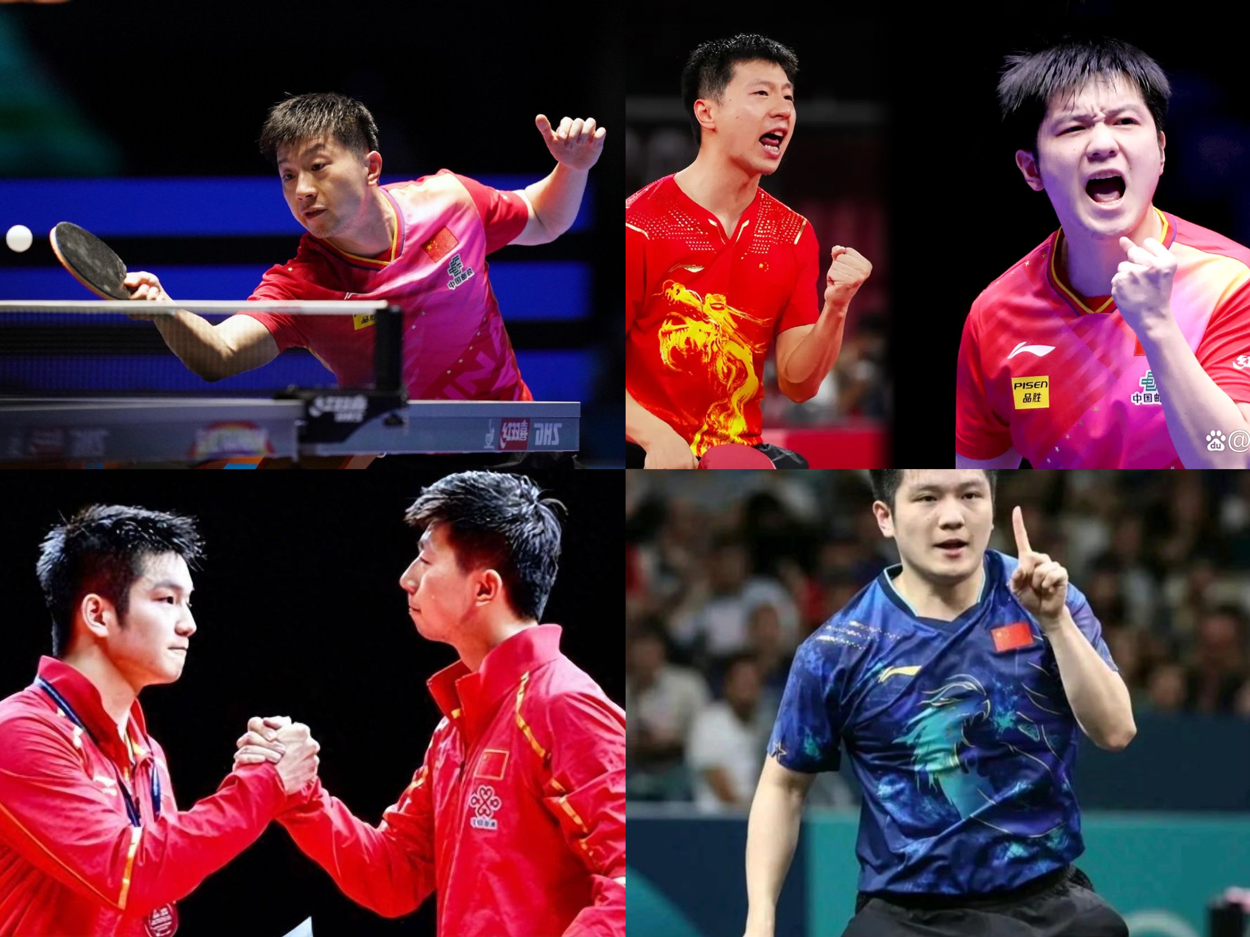 关于乒乓球热度飙升，网友热议不断的信息