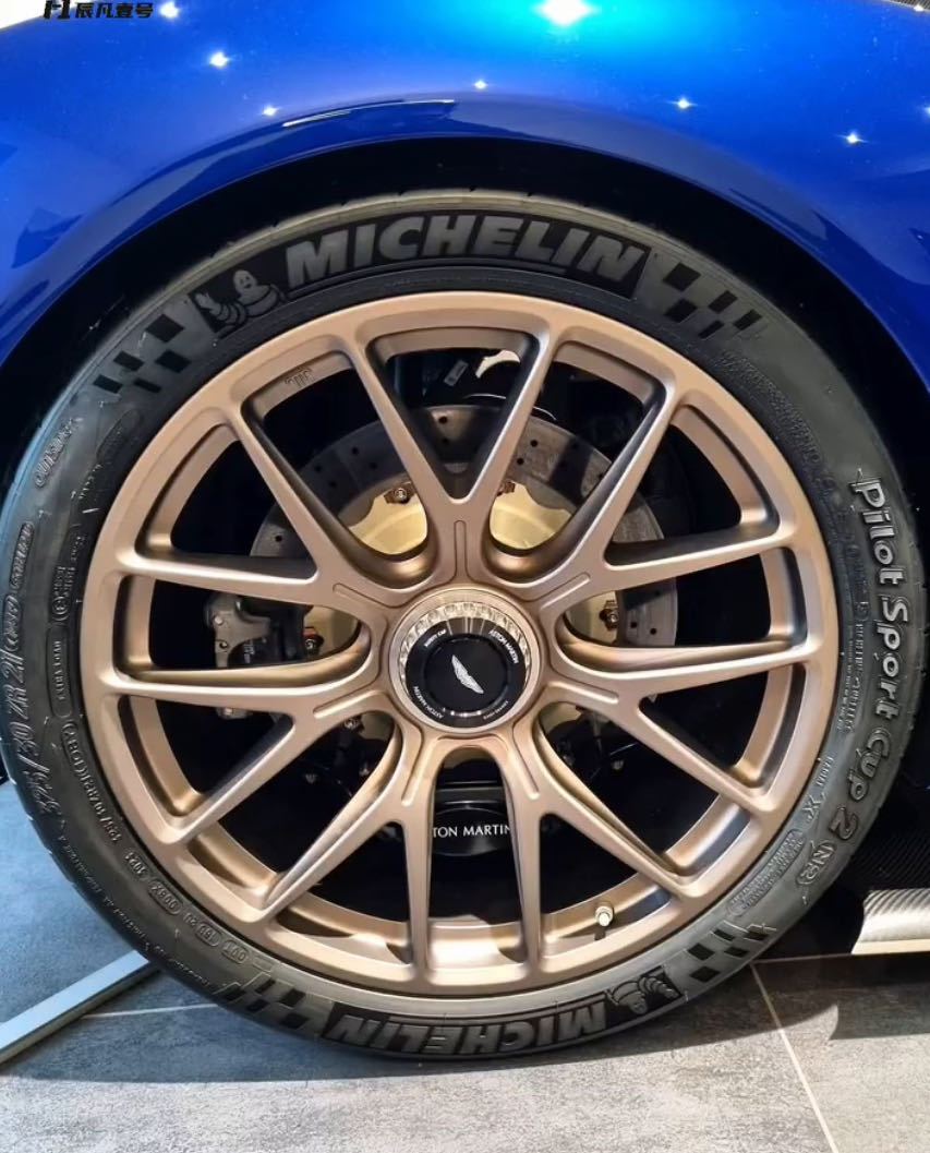 开云下载-雷诺车队轻取阿斯顿马丁，皮亚斯特里惊艳四座