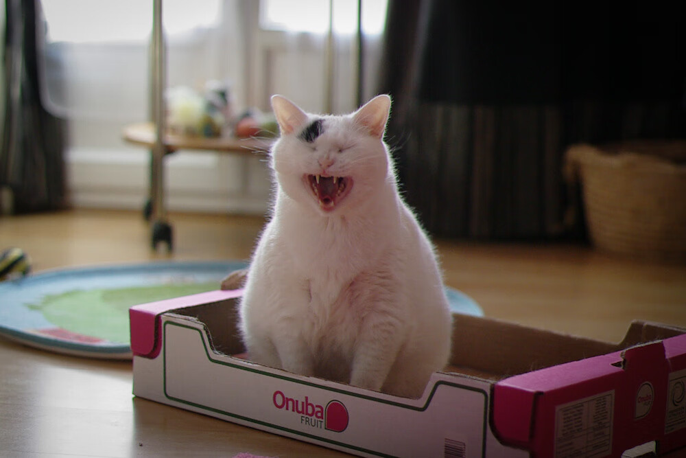 开云体育app-新核心诞生！托马斯·穆勒首次佩戴马赛队长袖标，率队4-1大胜委内瑞拉劲旅