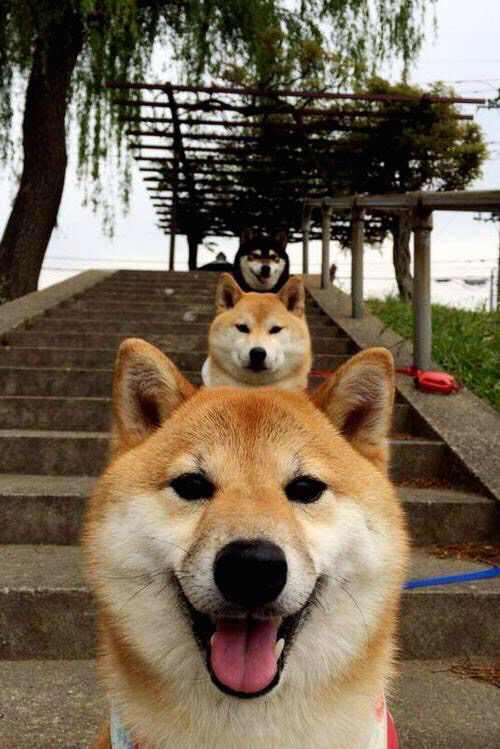 西决生死夜，贝恩用一腔孤勇点亮逆袭之火