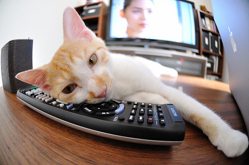 开云下载-奥斯梅恩闪耀欧洲之巅，欧冠半决赛之夜，尼日利亚雄鹰主宰战场