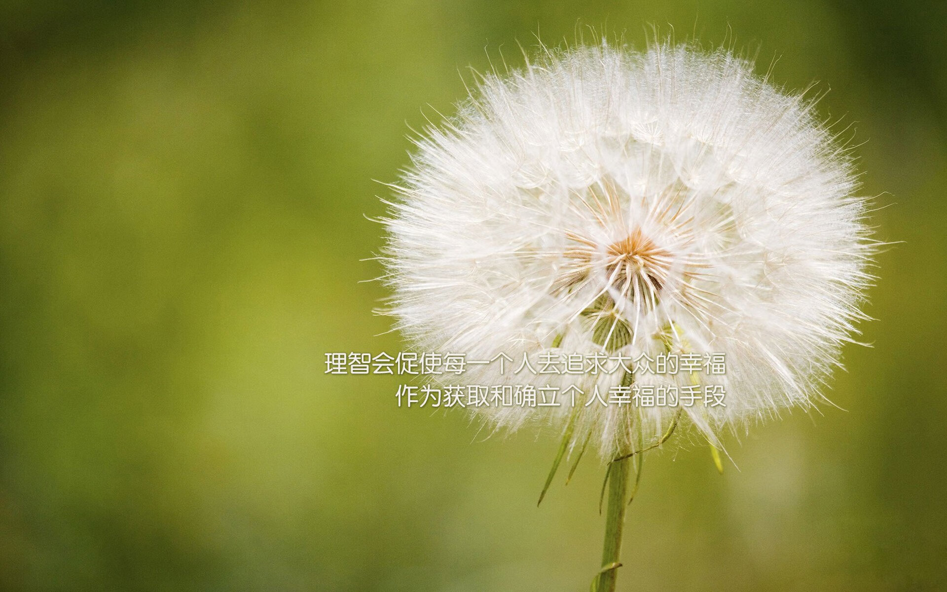 范弗利特单骑破疆域，洛杉矶快船展现冠军级防守