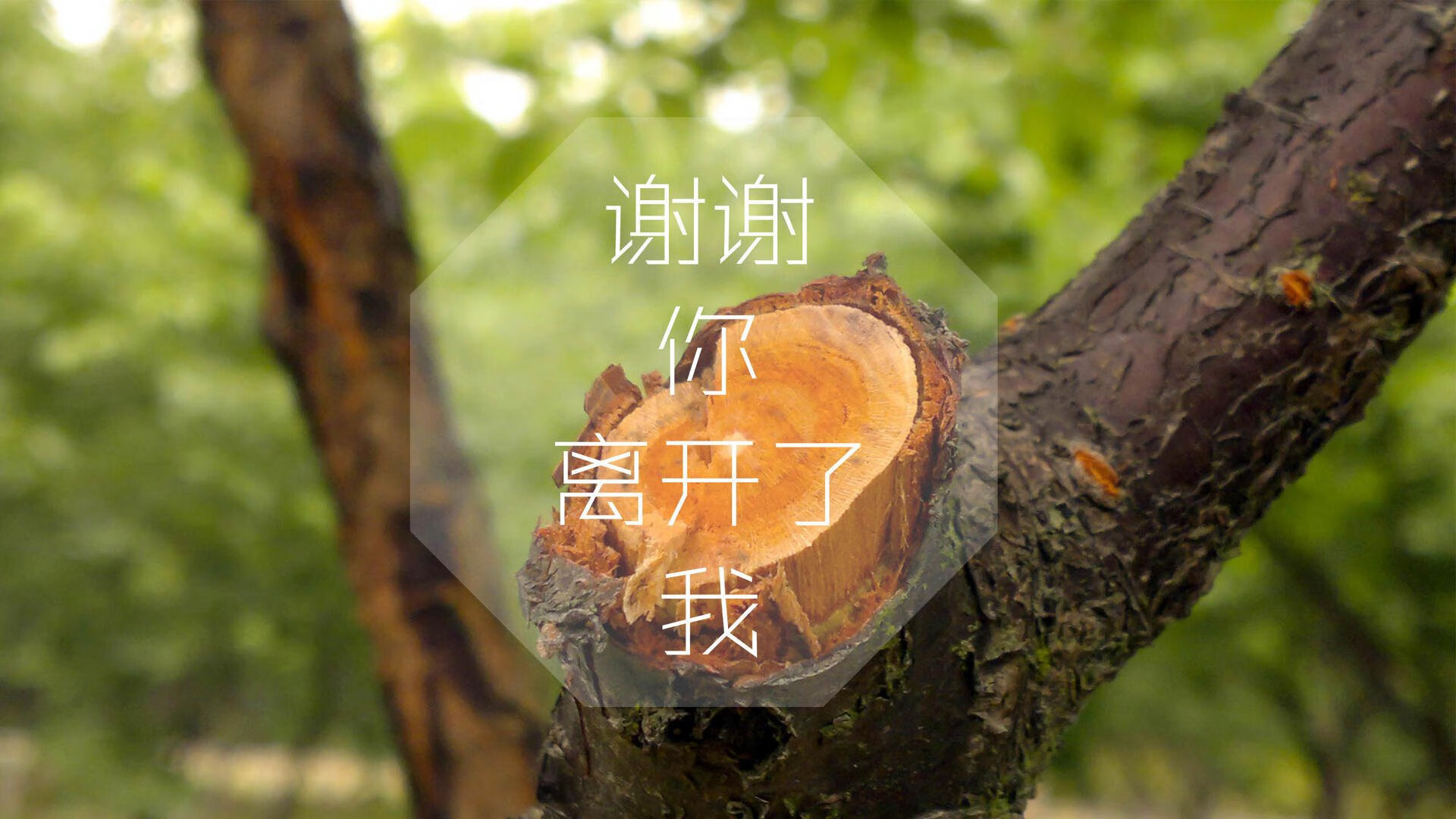 铁血中场定乾坤，2026世界杯D组法乌大战，巴雷拉成决胜关键